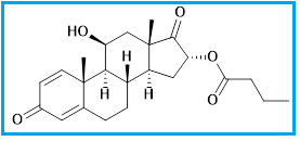BUDESONIDE 17-KETONE